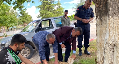 BAŞKAN BİLDİK JANDARMA İÇİN KURBAN KESTİ