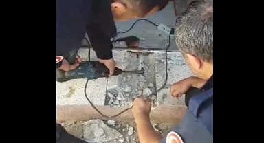 KEDİ LAVABO GİDER BORUSUNA SIKIŞTI