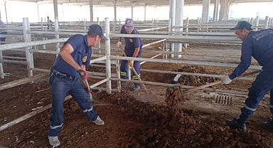 KURBAN PAZARI TEMİZLENDİ