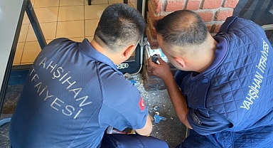 Beton direğine sıkışan yavru kedi kurtarıldı
