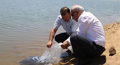 Kırıkkale’de Barajlara 183 Bin Adet Balık Yavrusu Bırakıldı
