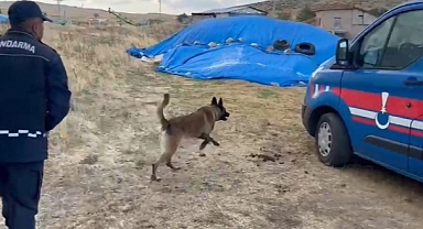 Narkotik köpeği Cesur'dan kaçmaz