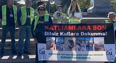 Hayvanseverler zalimce uygulamalara tepki gösterdi