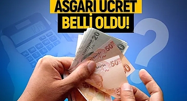Asgari ücret belli oldu