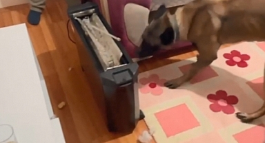 Detektör köpek ısıtıcının içinde uyuşturucu buldu