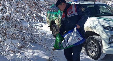 Yaban hayvanları için doğaya yem bırakıldı