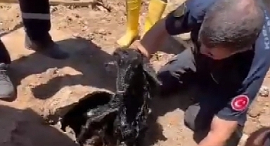 Kırıkkale'de oğlak kanalizasyon borusuna sıkıştı 