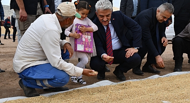 ÇELTİK HASADI BAŞLADI