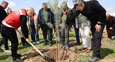 Kırıkkale Belediyesi’nden Geleceğe Nefes: 2 Bin Fidan