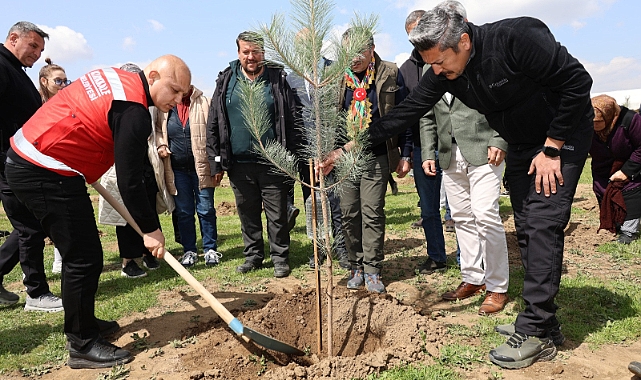 Kırıkkale Belediyesi’nden Geleceğe Nefes: 2 Bin Fidan