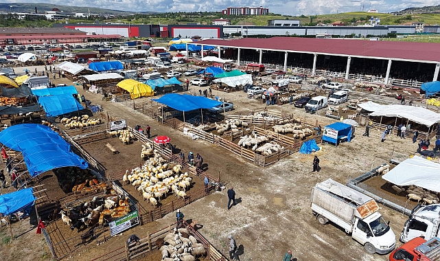 Kurban Pazarında Bayram Hareketliliği